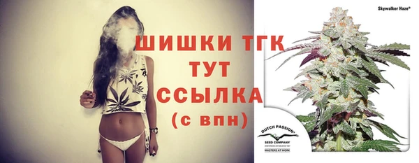 ПСИЛОЦИБИНОВЫЕ ГРИБЫ Костерёво