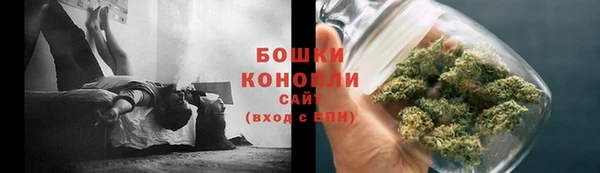 ПСИЛОЦИБИНОВЫЕ ГРИБЫ Костерёво