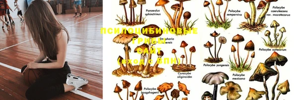 амфетамин Коряжма