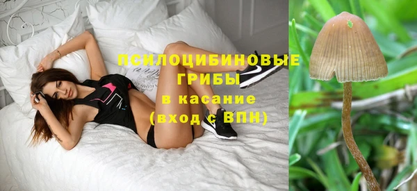 ПСИЛОЦИБИНОВЫЕ ГРИБЫ Костерёво